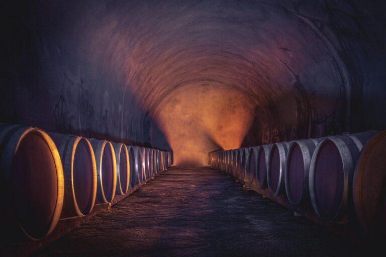 Vinicave Germanier, transformation digitale pour le secteur vinicole avec une solution ERP.